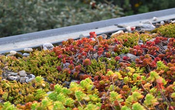 the cost of Burlingham Green green roof installation