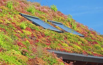 Burlingham Green living roof systems
